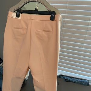 Ann Taylor Cropped Pink Pants